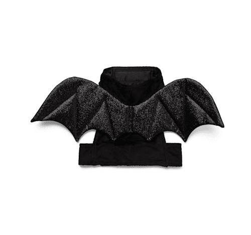 Petco Halloween Costumes: Bat