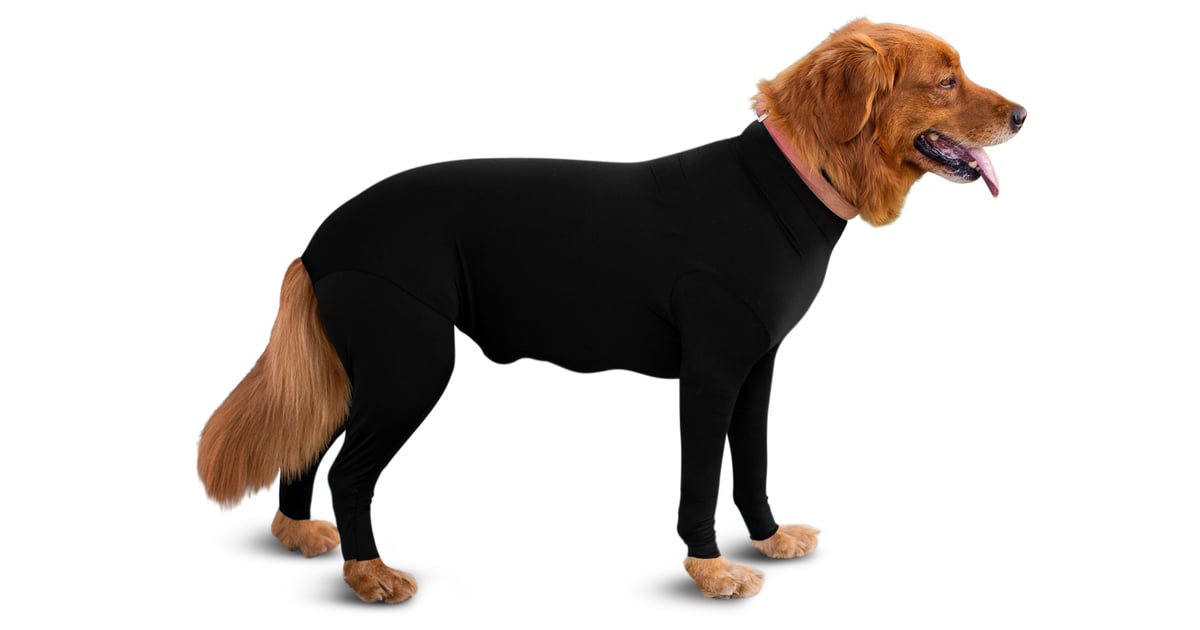 Shed Defender Dog Leotards POPSUGAR Australia Smart 