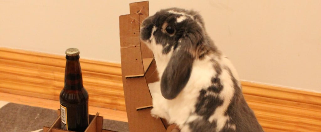Bunny Pushing a Beer Cart