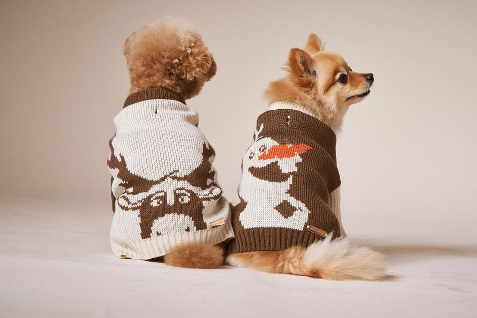 Best Dog Coats and Jackets | 2020 | PS Pets