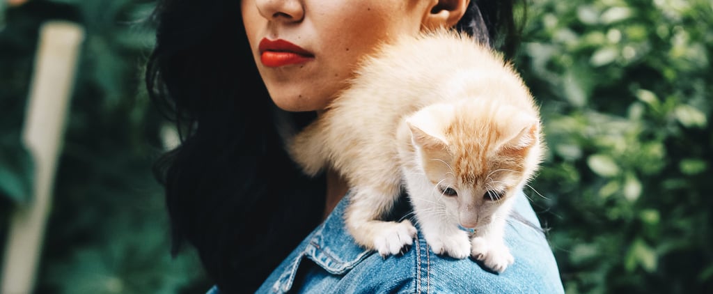 Do Cats Help With Human Anxiety?