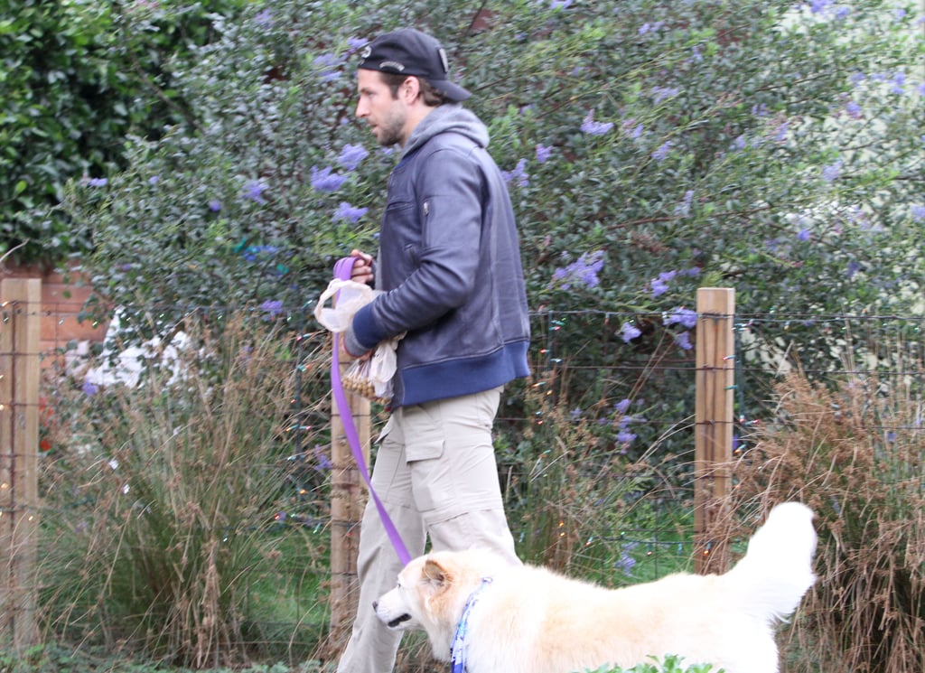 Bradley Cooper hiked in LA with Charlotte, his Chow-Golden Retriever mix, in December 2009.