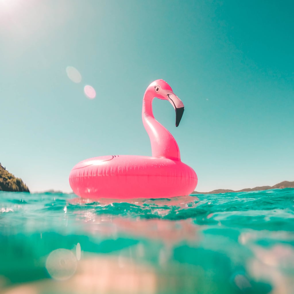 Flamingo Tracker Hack