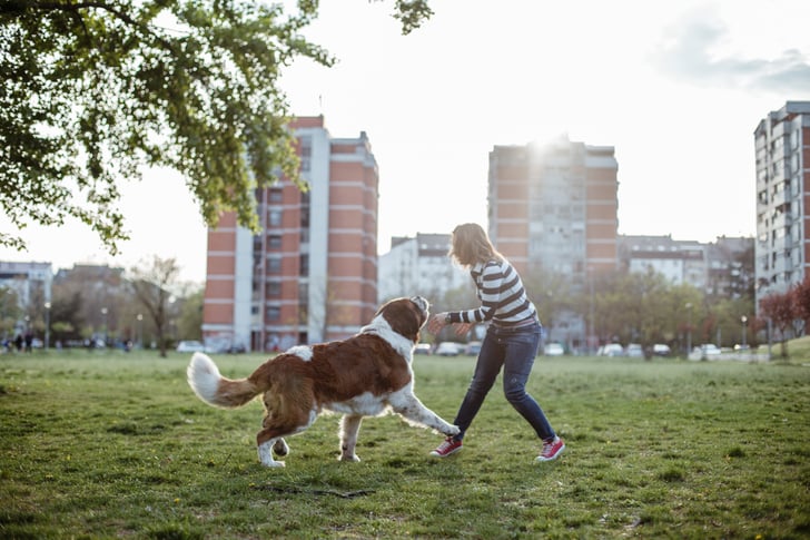 Libra (Sept. 23-Oct. 22) | Zodiac Signs That Make the Best Pet Owners ...