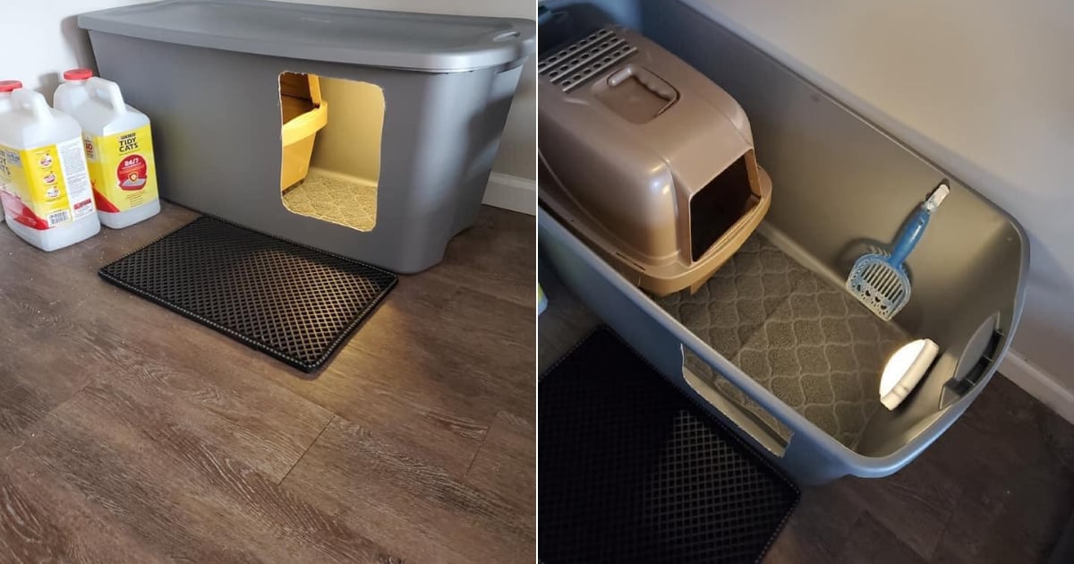 LitterBox Hack to Stop Cats From Making a Mess on the Floor POPSUGAR