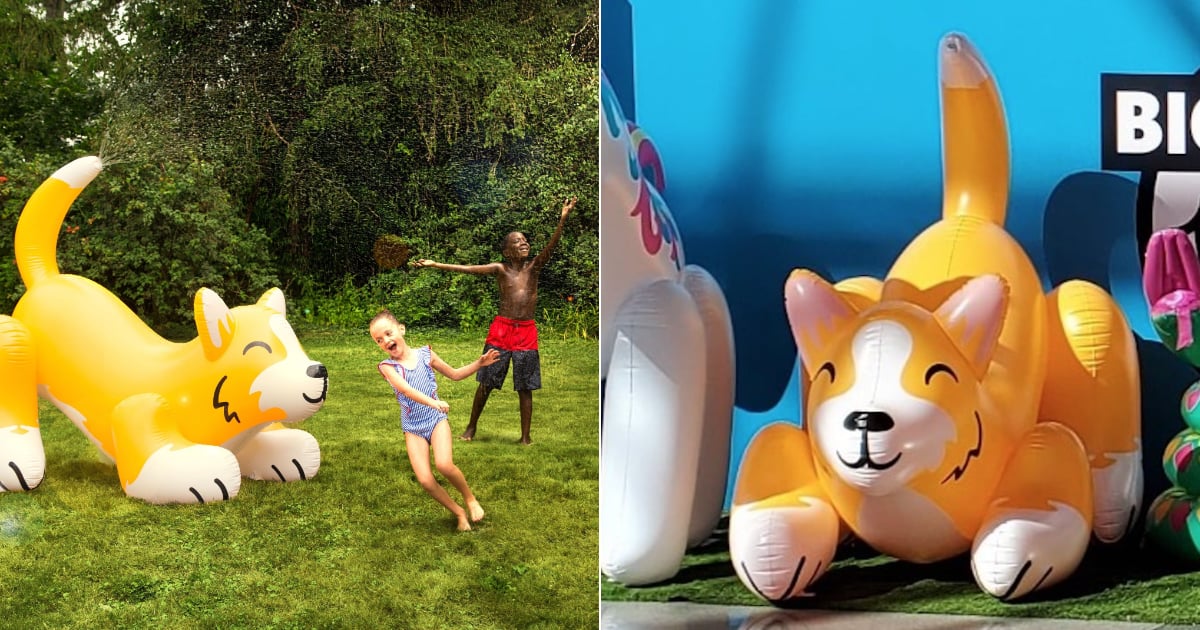 Corgi inflatable sales