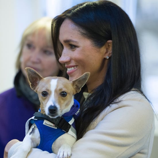 Meghan Markle Visits Mayhew January 2019