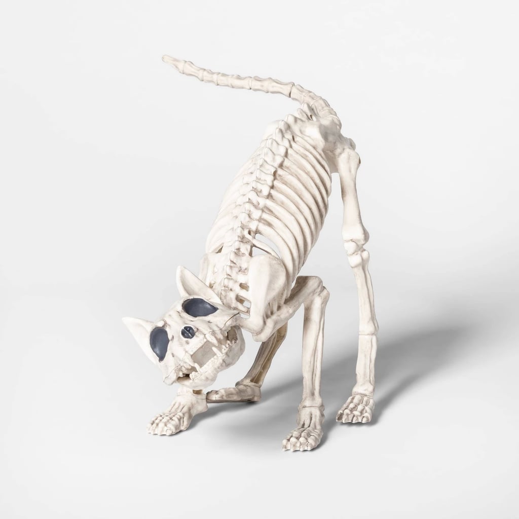 skeleton cat toy