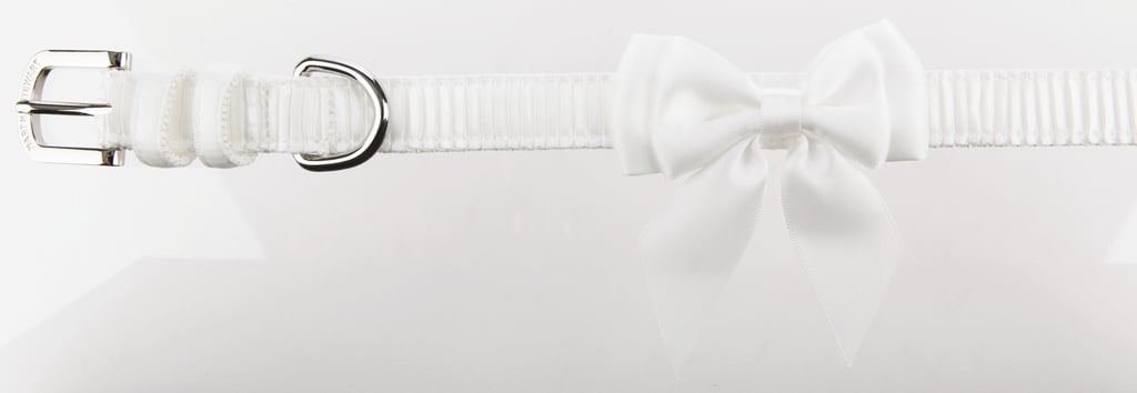 Wedding Clothes For Dogs