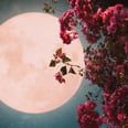 How to Get the Most Out of April’s Pink Moon, According to an Astrologer