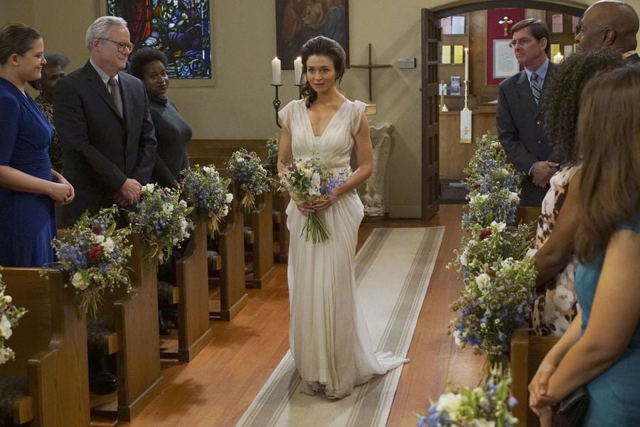 Grey's Anatomy Amelia and Owen's Wedding Pictures