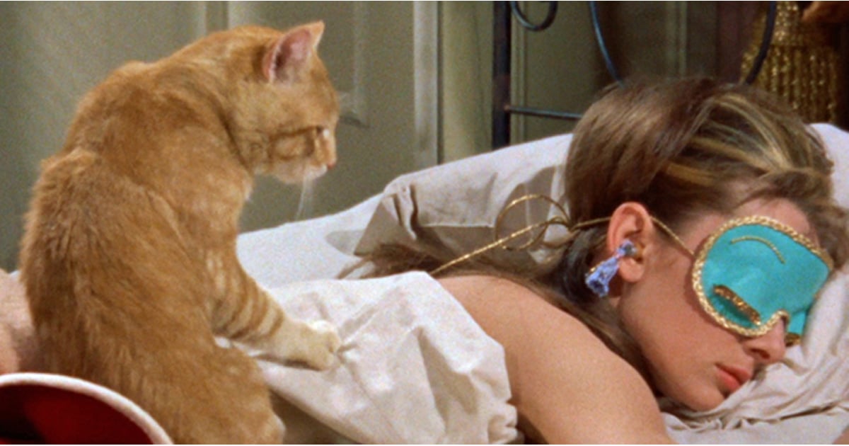 Cat Lady Gifs Popsugar Pets
