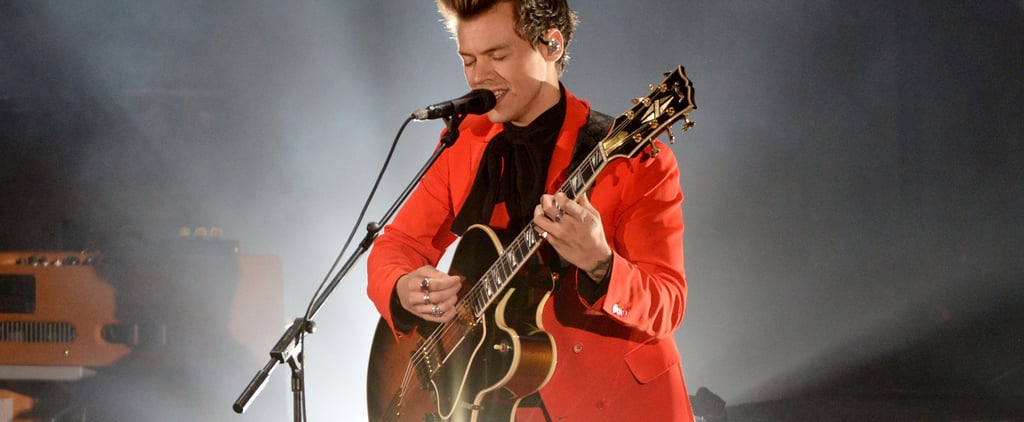 Harry Styles Groped on Stage at We Can Survive Concert