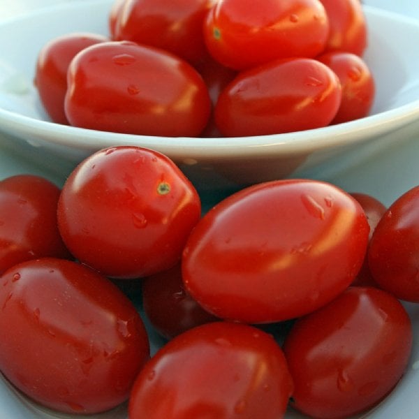 GrowJoy Smarty Grape Tomato Plant