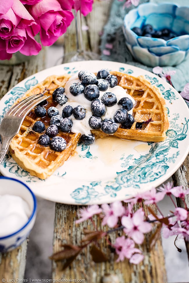 Blueberry Waffles With Whipped Coconut Cream