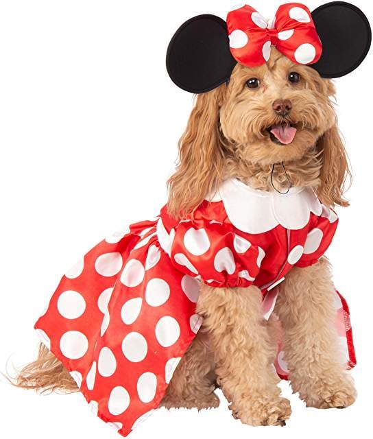 Minnie Mouse Dog Halloween Costume