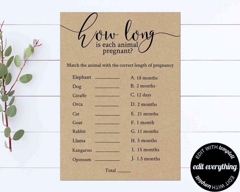 How Long Is Each Animal Pregnant Baby Shower Game
