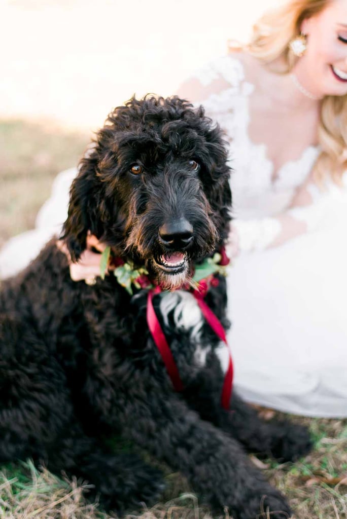 Woodsy Winter Wedding