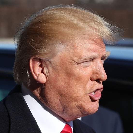 Trump Border Wall and Government Shutdown January 2018