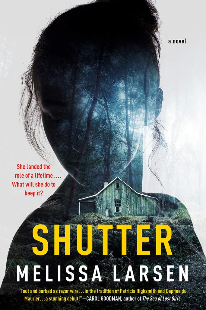 Shutter by Melissa Larsen