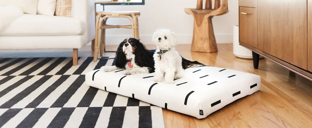 Best Gifts For Dog-Lovers