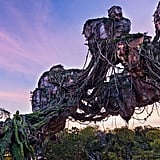 Download These Disney Park Zoom Backgrounds For Video ...