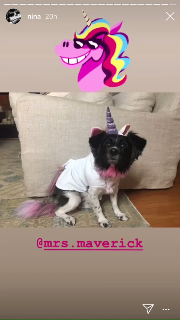 Nina Dobrev and Her Dog's Unicorn Costumes Halloween 2018