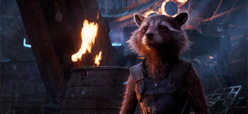 Rocket  Which Characters Are Left After Avengers Infinity 