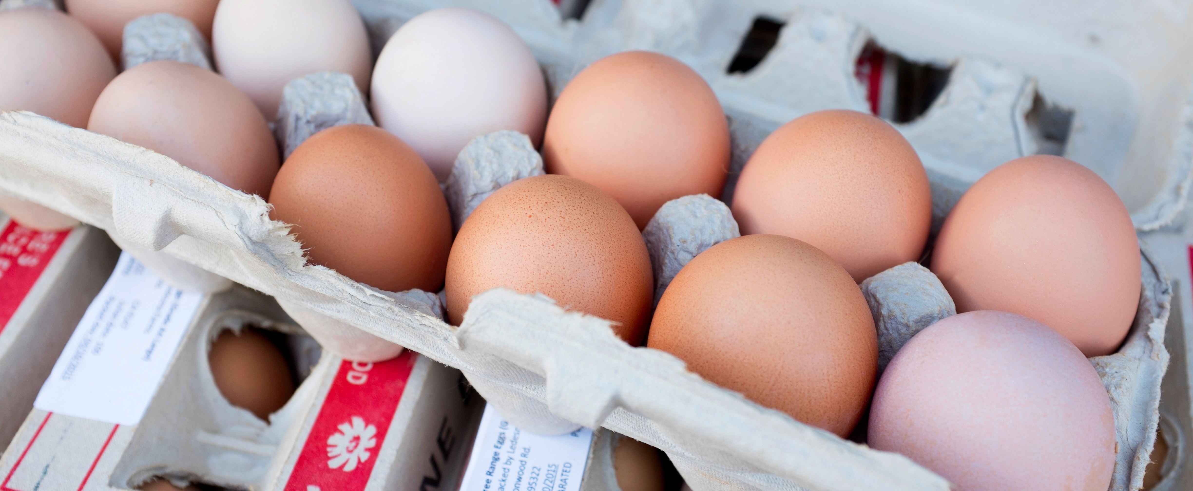 How to Tell If an Egg Is Bad POPSUGAR Food