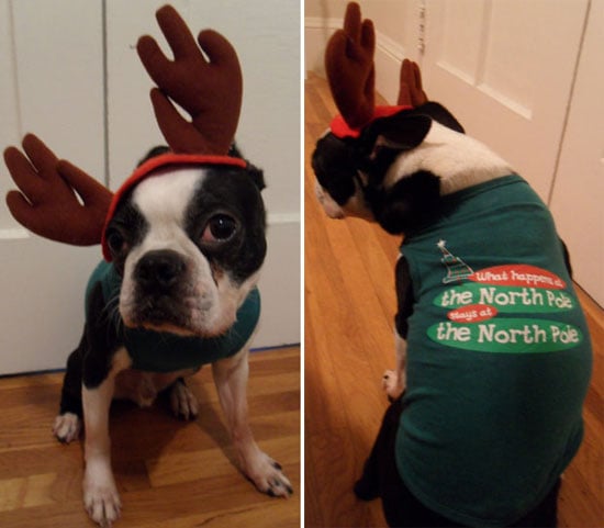 Job Search 8 Gifts Job Hunters Would Love by Emily Co 12/04/12 Best of 2010 Best of 2010: Biggest Beauty Moments by Beauty 12/28/10 Community I Want to See Your Best Winter Shots! by Pets 12/28/10 Holiday Merry Christmas From North! by Morgan Ashley Parker 12/25/10 Holiday Happy Holidays From All of Us at Fab! by Fashion - 웹