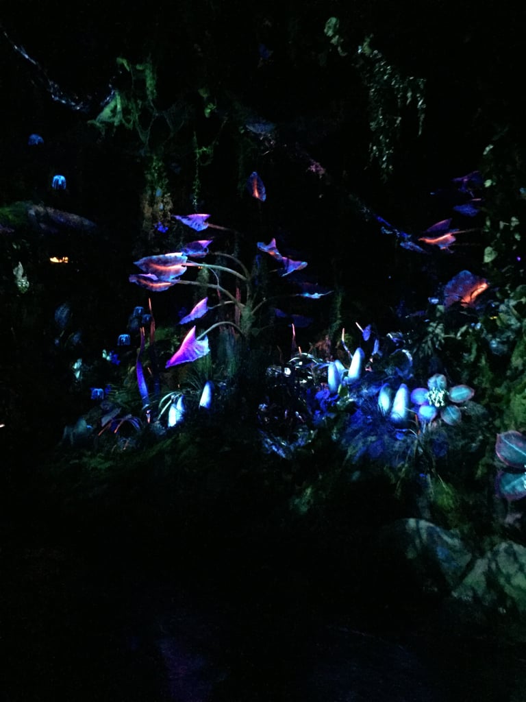Which Pandora World of Avatar Ride Is For Kids?