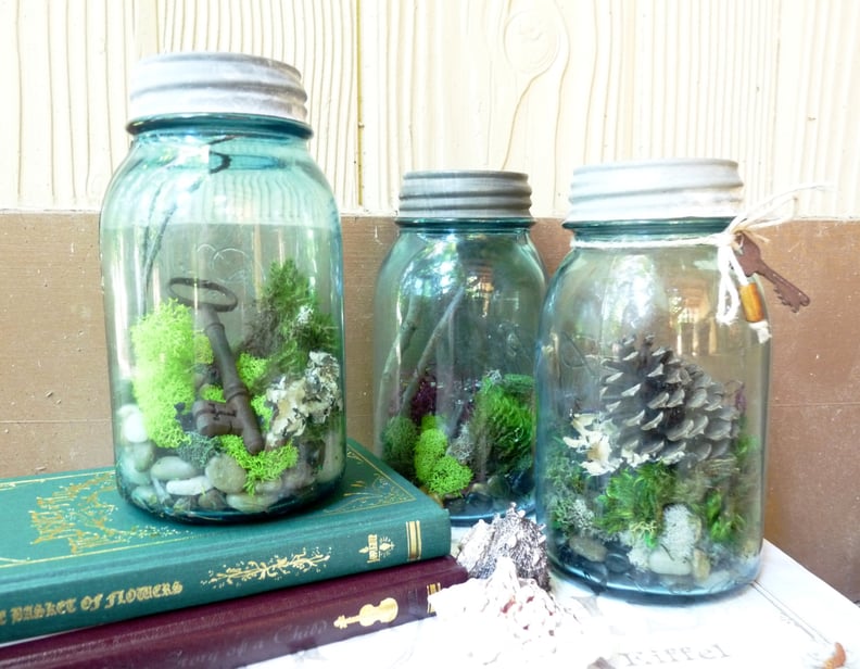 Terrarium