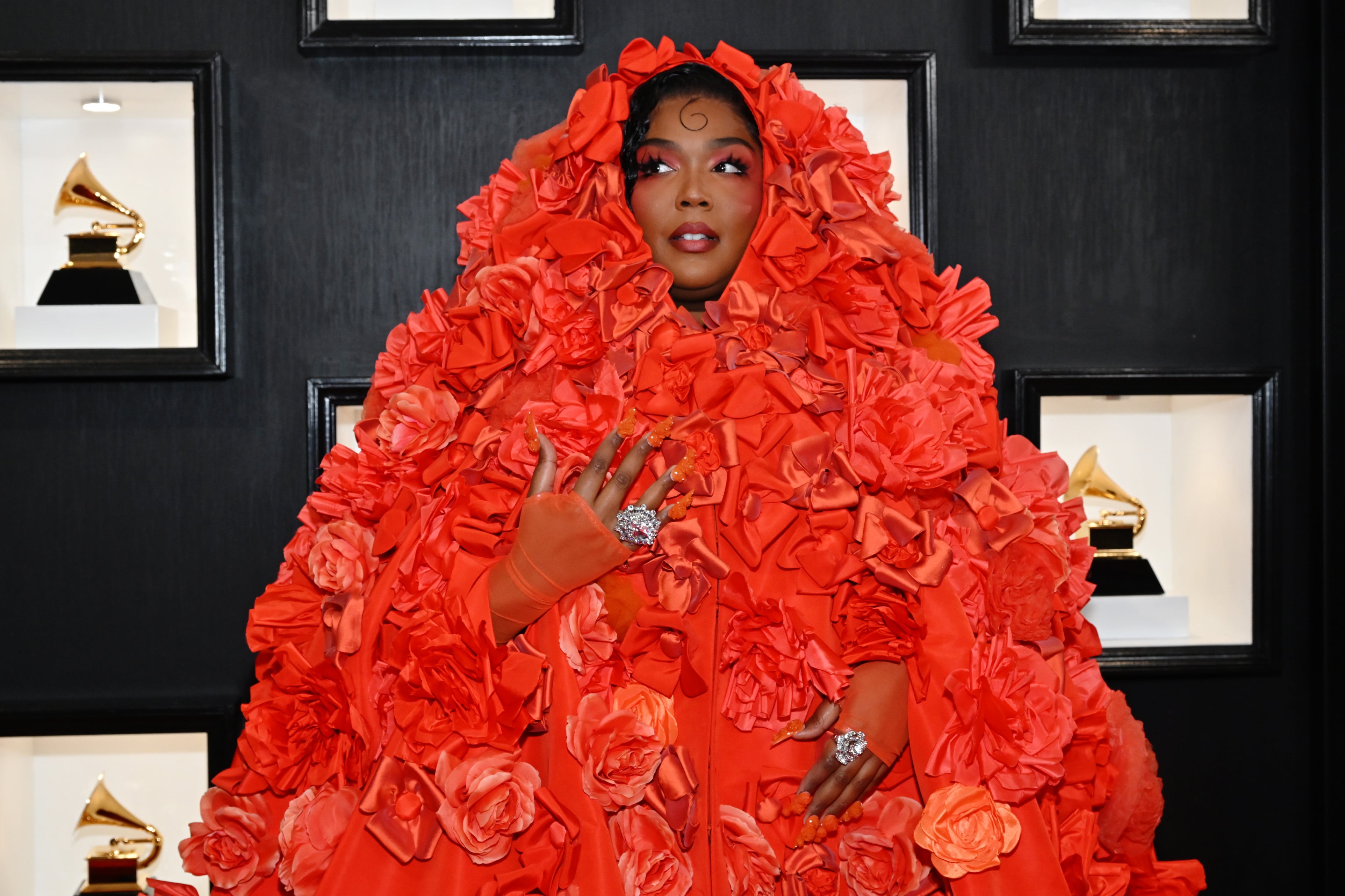 Lizzo's Floral Cape Dress at the Grammys 2023, Photos