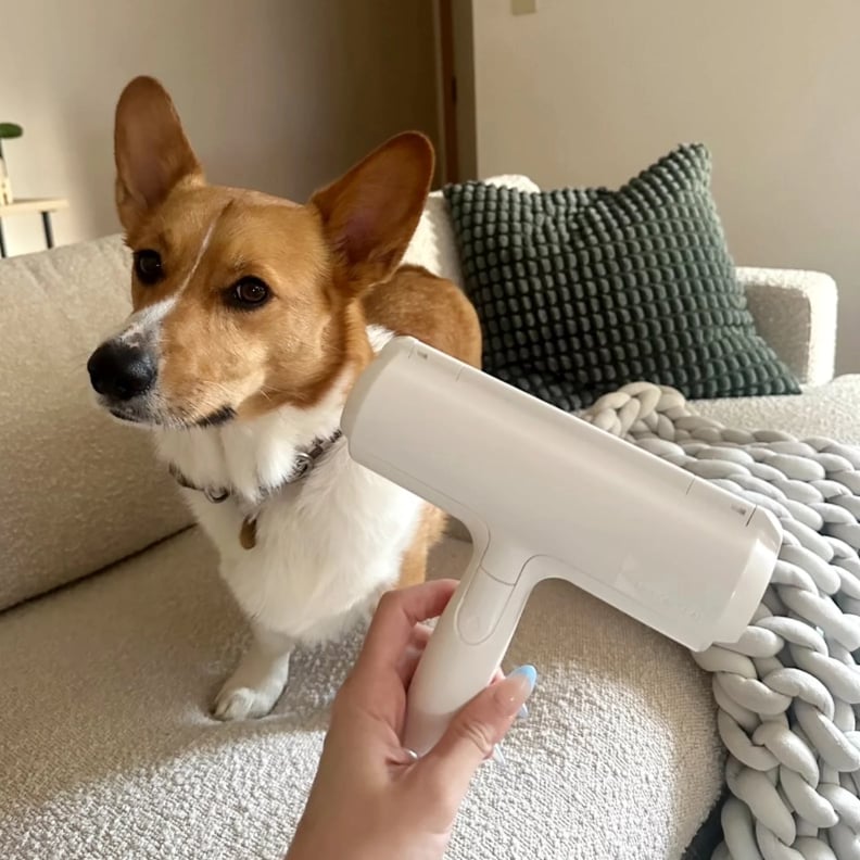 Best Pet Hair Remover
