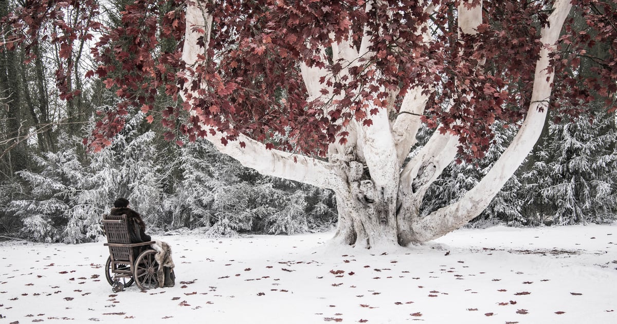 What Are the Weirwood Tree's Powers on Game of Thrones? | POPSUGAR ...