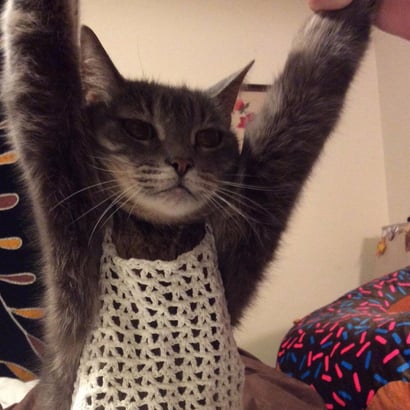 Cat in Crochet Crop Top