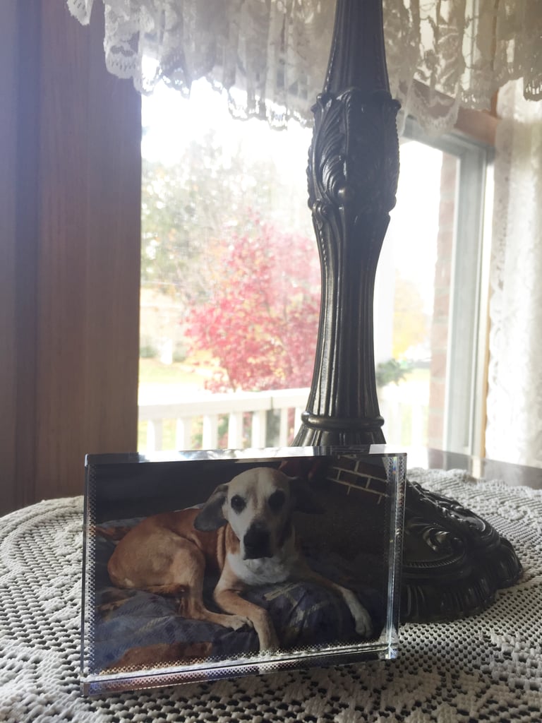 Custom Photo Glass Block ($40)
