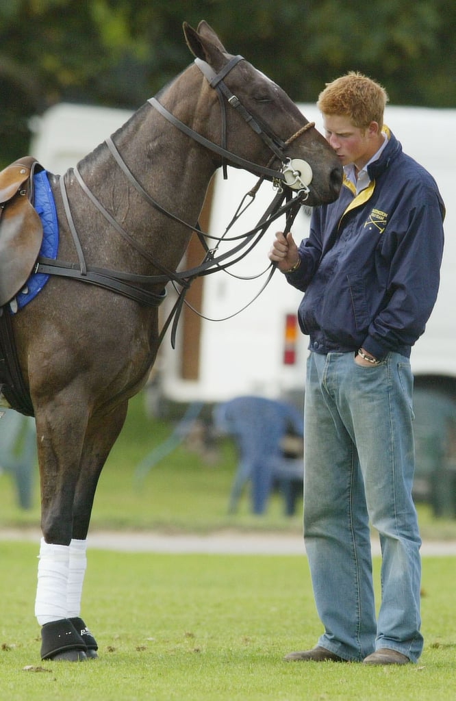 Prince Harry With Animals Pictures