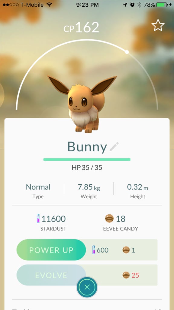 Eevee aka "Bunny"