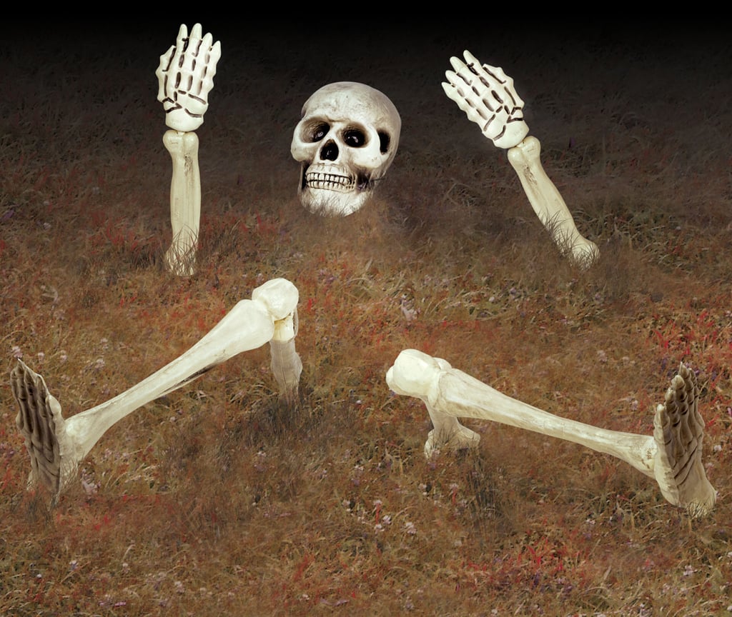 5 Piece Halloween Groundbreaker Yard Skeleton Set