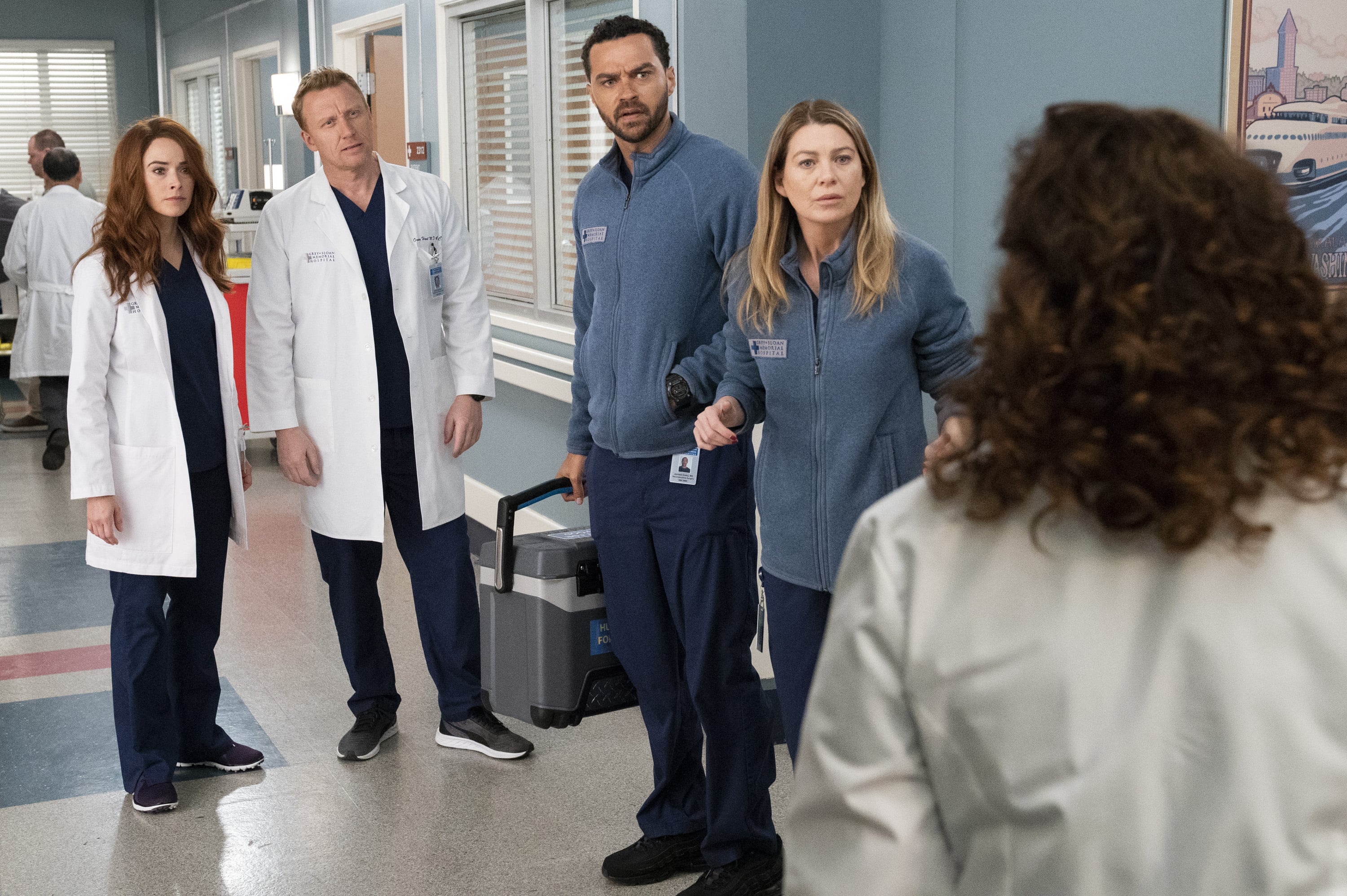 Grey's anatomy season 16 full cheap