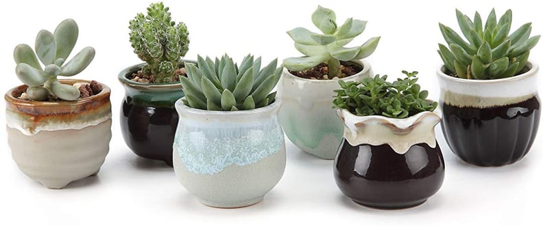 T4U Small Ceramic Succulent Planter Pots