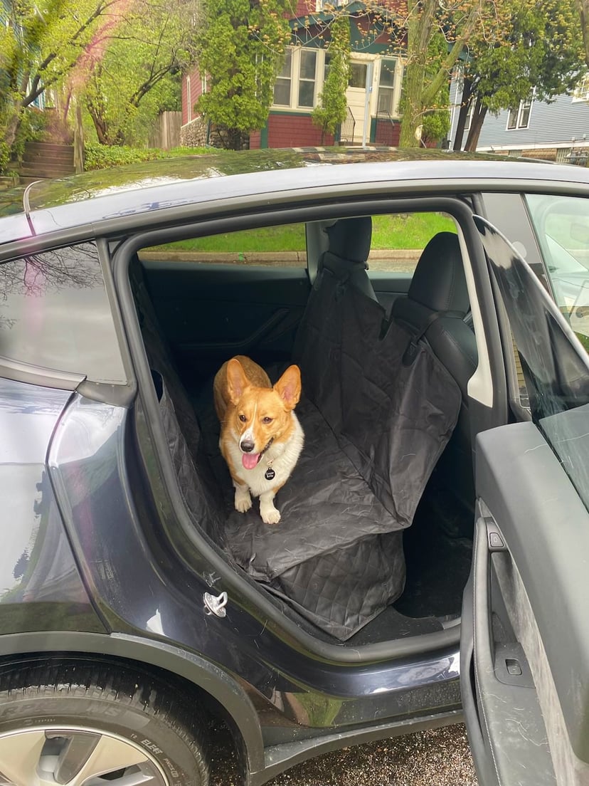 Active Pets Premium Dog Car Seat Cover Review POPSUGAR Pets