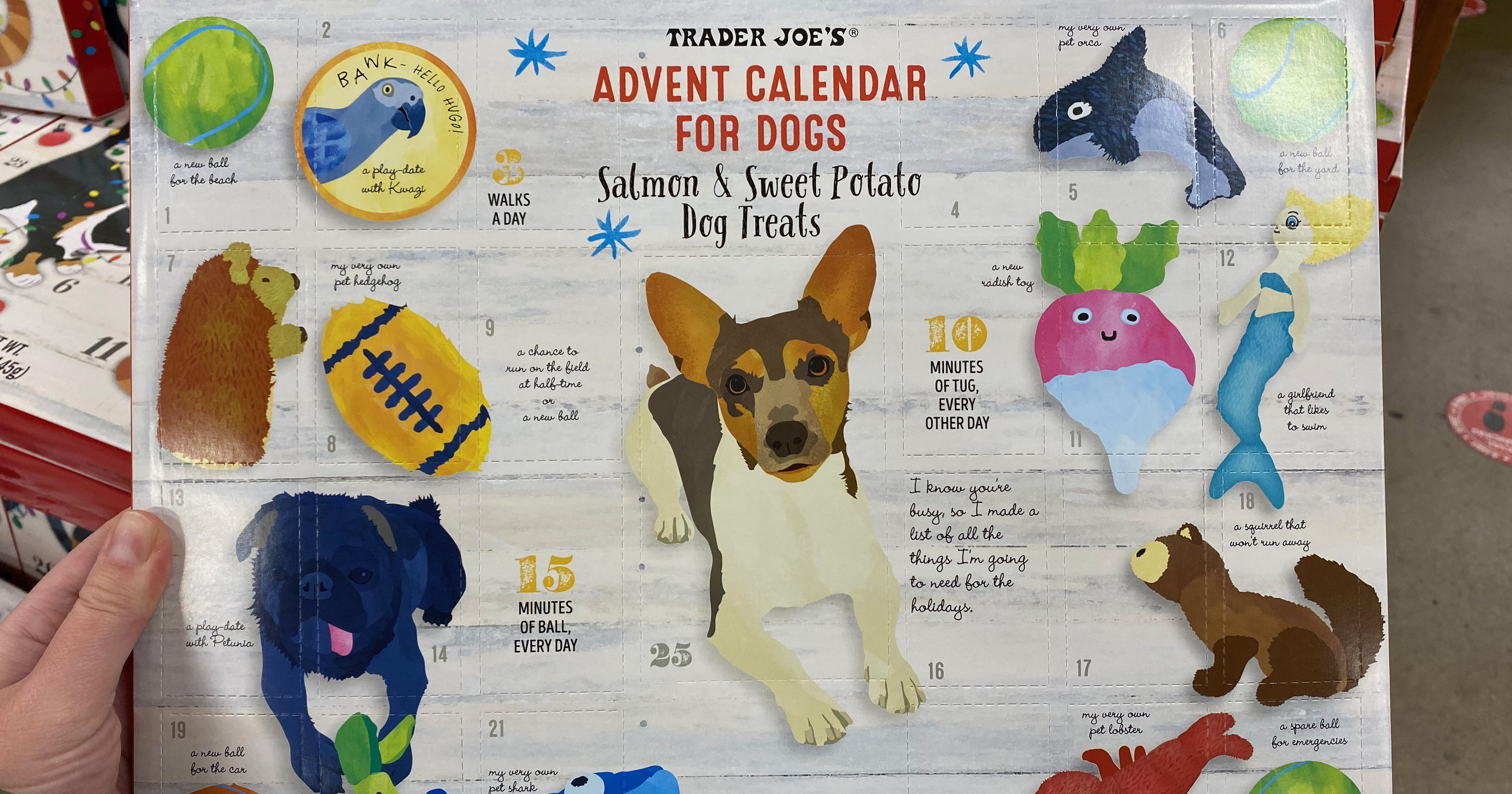Trader Joe's Advent Calendars For Dogs Are Here For 2020 POPSUGAR Pets