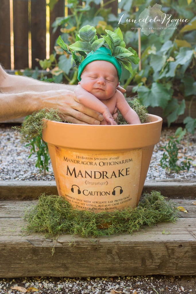Harry Potter Newborn Photo Shoot Idea