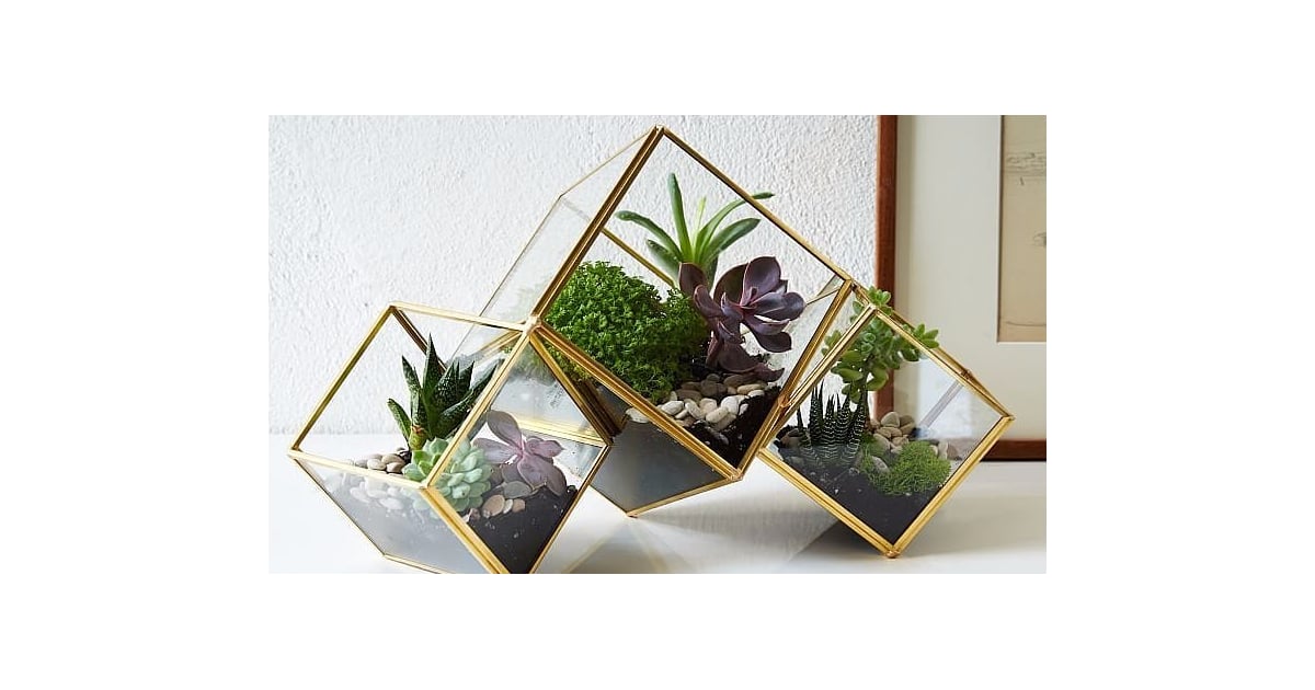 The Best Home Gifts For Every Budget POPSUGAR Home