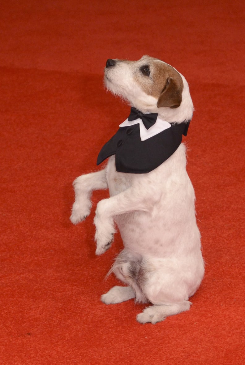 No. 9: Uggie the Dog in 2012