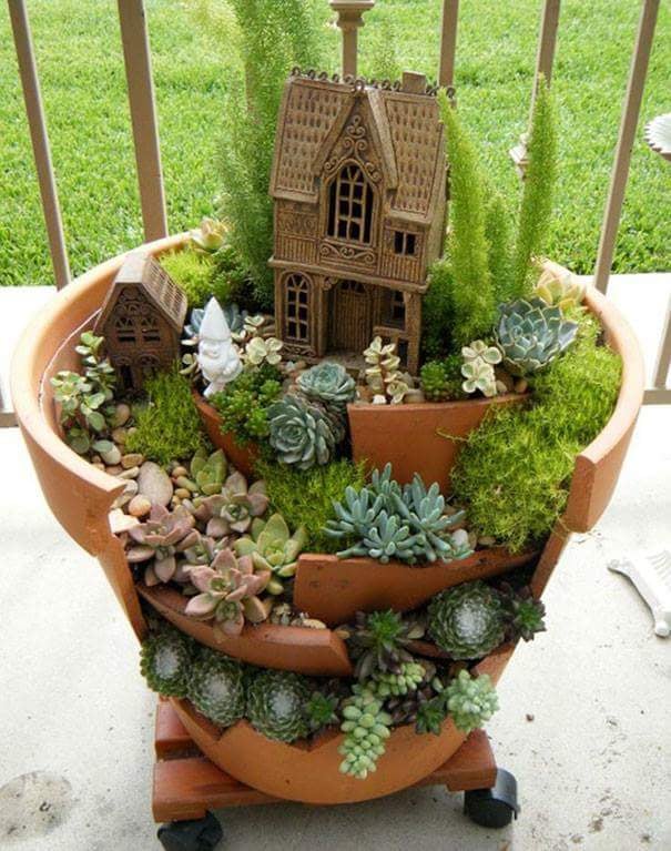 Showcase your succulents in a new way.