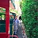 Disneyland Railroad's New Route 2017
