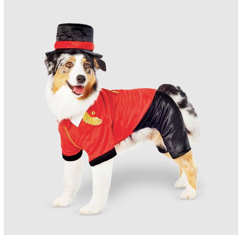 Ringmaster Dog Costume